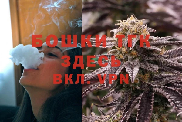 соль ск Няндома