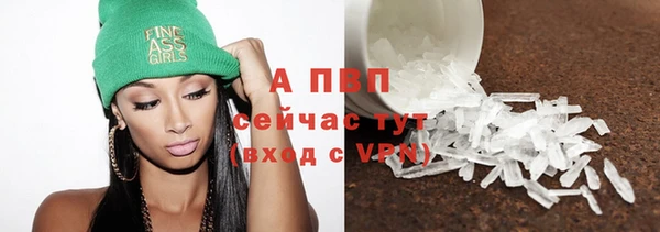 соль ск Няндома