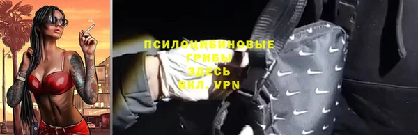 соль ск Няндома