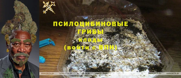 шишки Нязепетровск