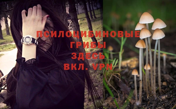 ALPHA PVP Кирс