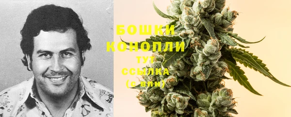 соль ск Няндома