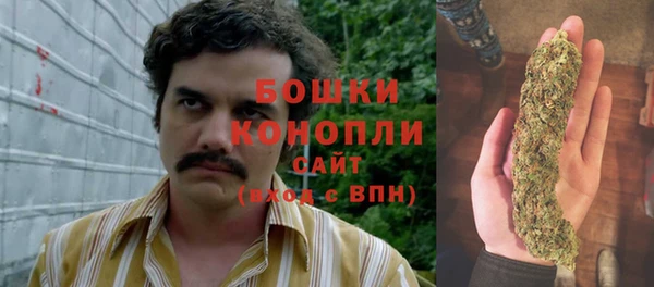 шишки Нязепетровск