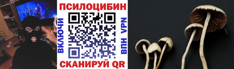 наркотики  Протвино  Псилоцибиновые грибы Psilocybine cubensis 
