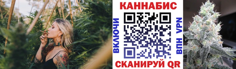Конопля индика  Протвино 